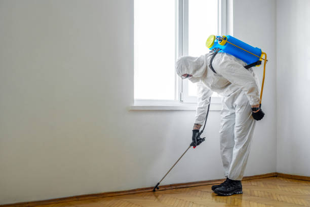 Best Emergency Pest Control  in Grand Ledge, MI