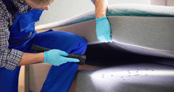 Best Pest Removal Services  in Grand Ledge, MI